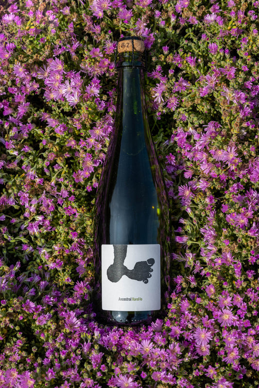 Joan Rubio ANCESTRAL XAREL·LO Pet Nat