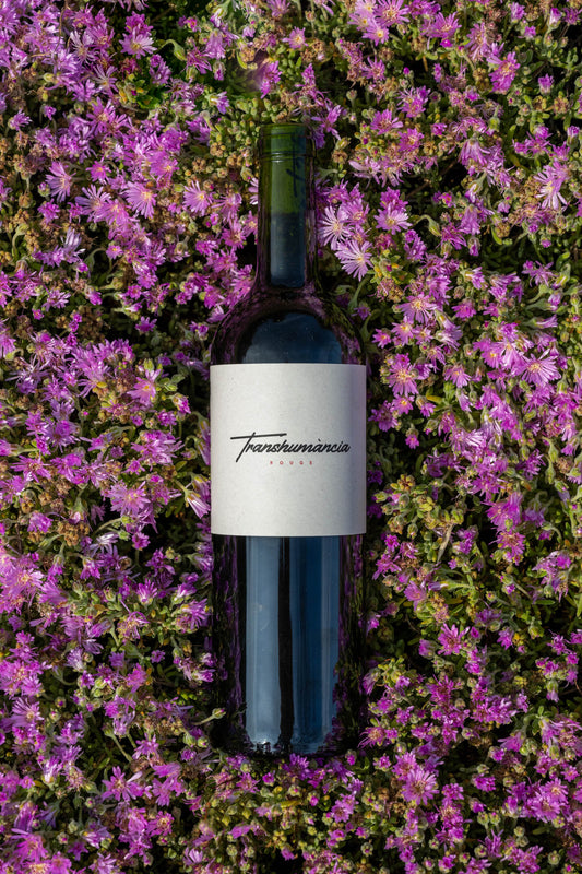 Domaine Cotzé Transhumància Rouge *Chill Me!*