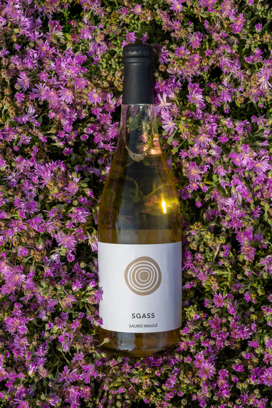 Sauro Maule SGASS Pet Nat