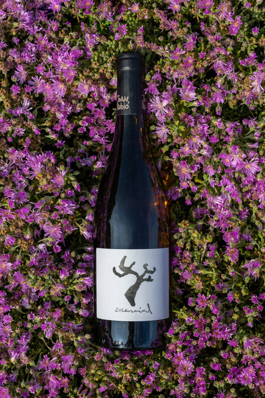 Joan Rubio ESSENCIAL blanco